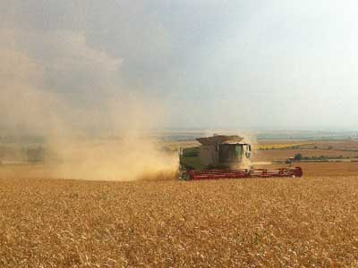 Landwirtschaft Grünland kaufen