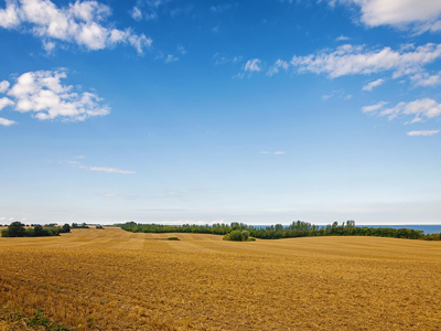 Landwirtschafliche Flächen kaufen